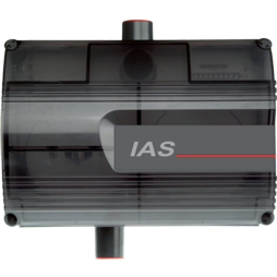 ICAM IAS